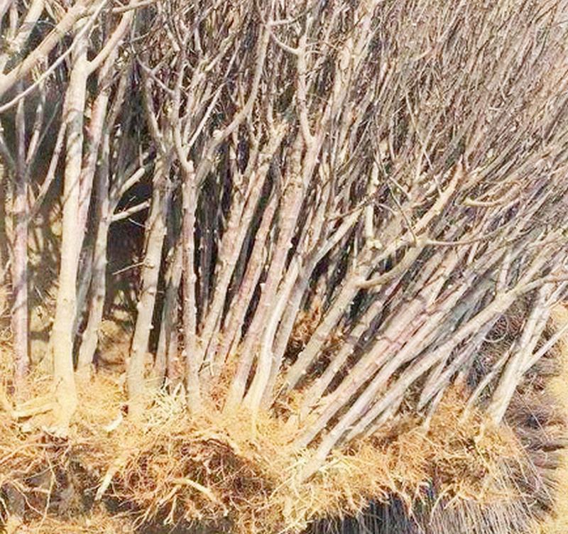 �ɹ����� �����Ҹ�����_�O���L����һ̖_�����O����_�Ϸ��O���� �Wվ�OӋ��ͬ